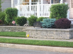 rock wall border with small bushes in front of house